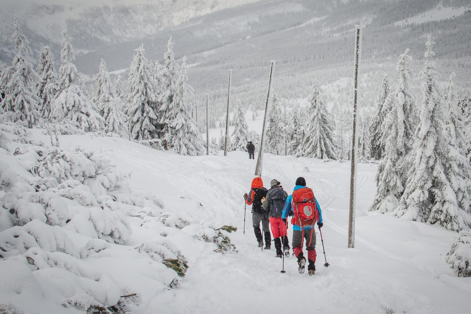 Grupa osób schodzi po szlaku do Przełęczy Karkonoskiej