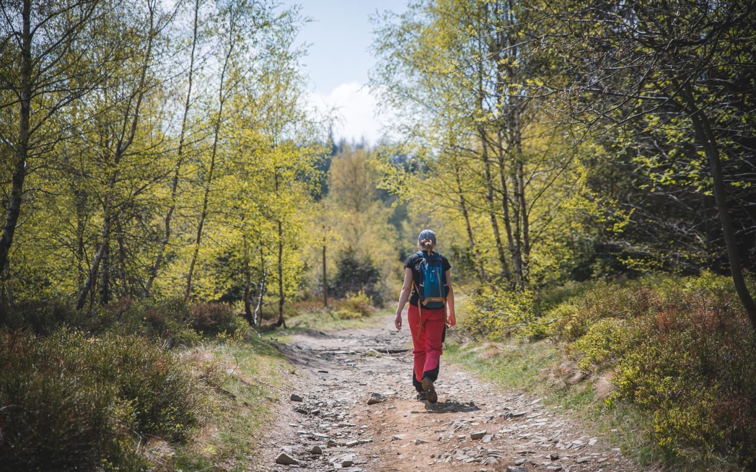 Jak chodzić po górach - kobieta idzie na szlaku