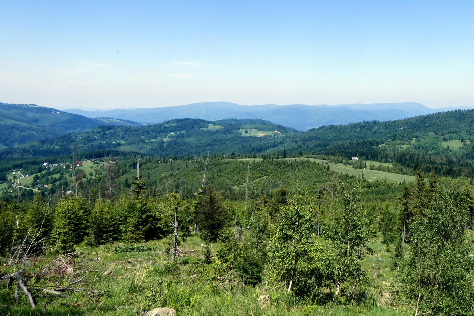 Krajobraz Beskidu Żywieckiego ze szlaku na Romankę