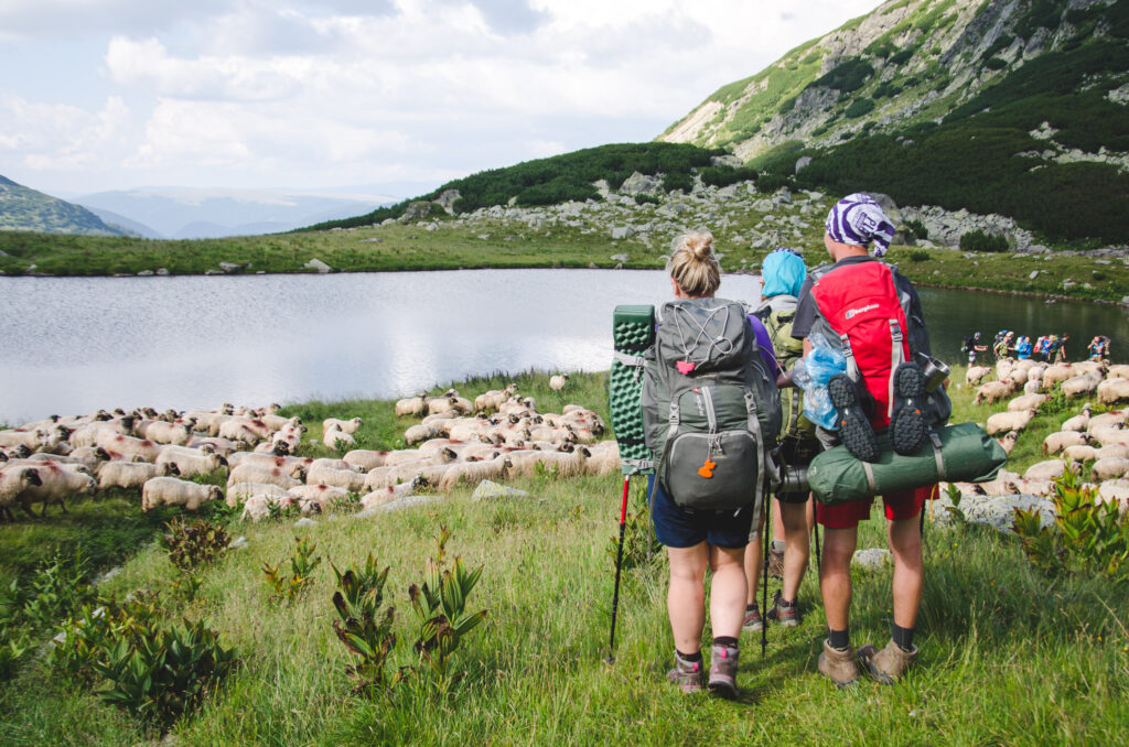 Turyści na trekkingu w Rumunii