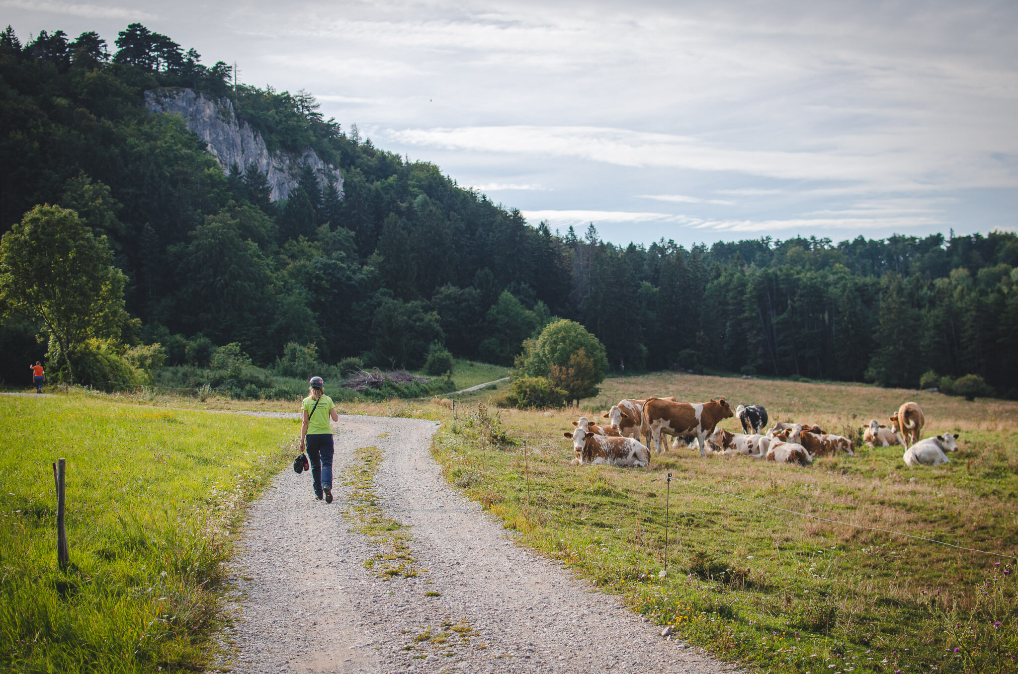 Na zdjęciu widać idącą turystkę w kasku. Po prawej stronie pasące się krowy. W tle las ze skałą