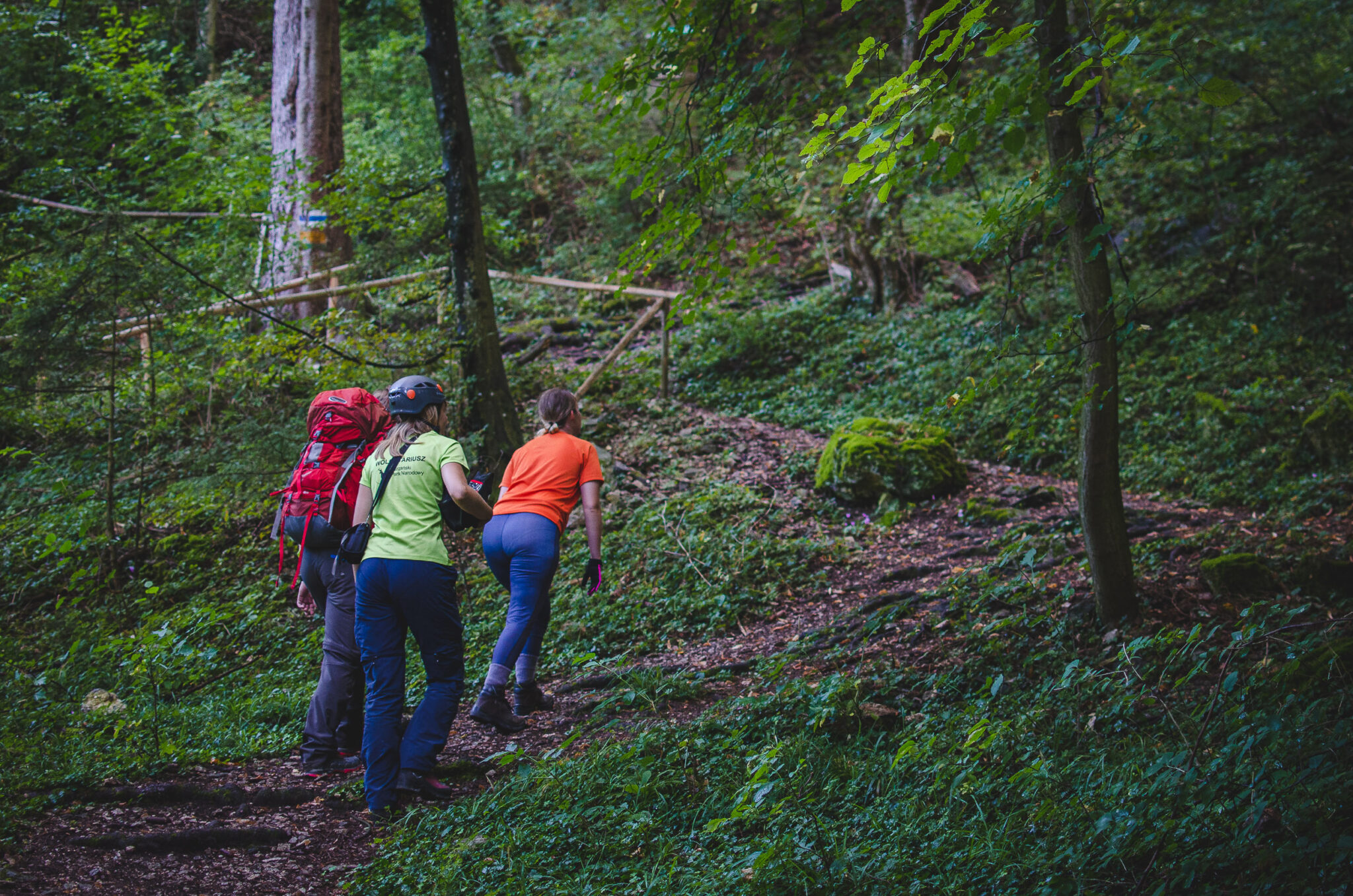 Troje turystów idzie szlakiem w lesie pod ferratę Wahringersteig